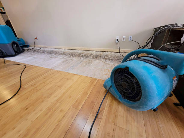 Professional Water Damage Repair technician working in West Elkton, OH